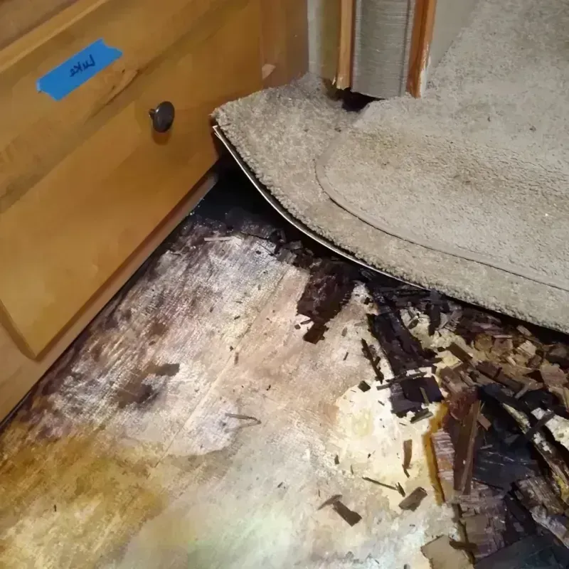 Wood Floor Water Damage in Lakeland, MN